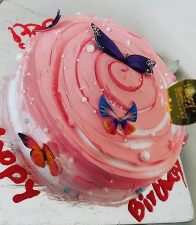 Butterfly Cake