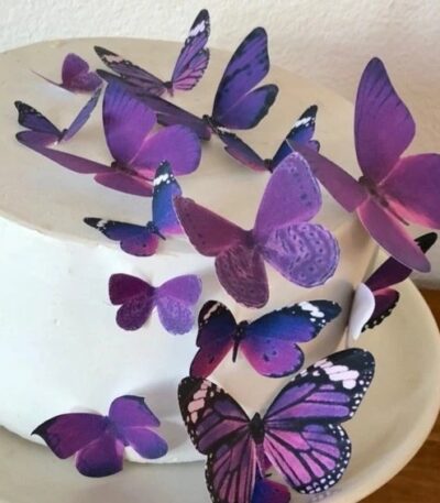 Edible Butterflies